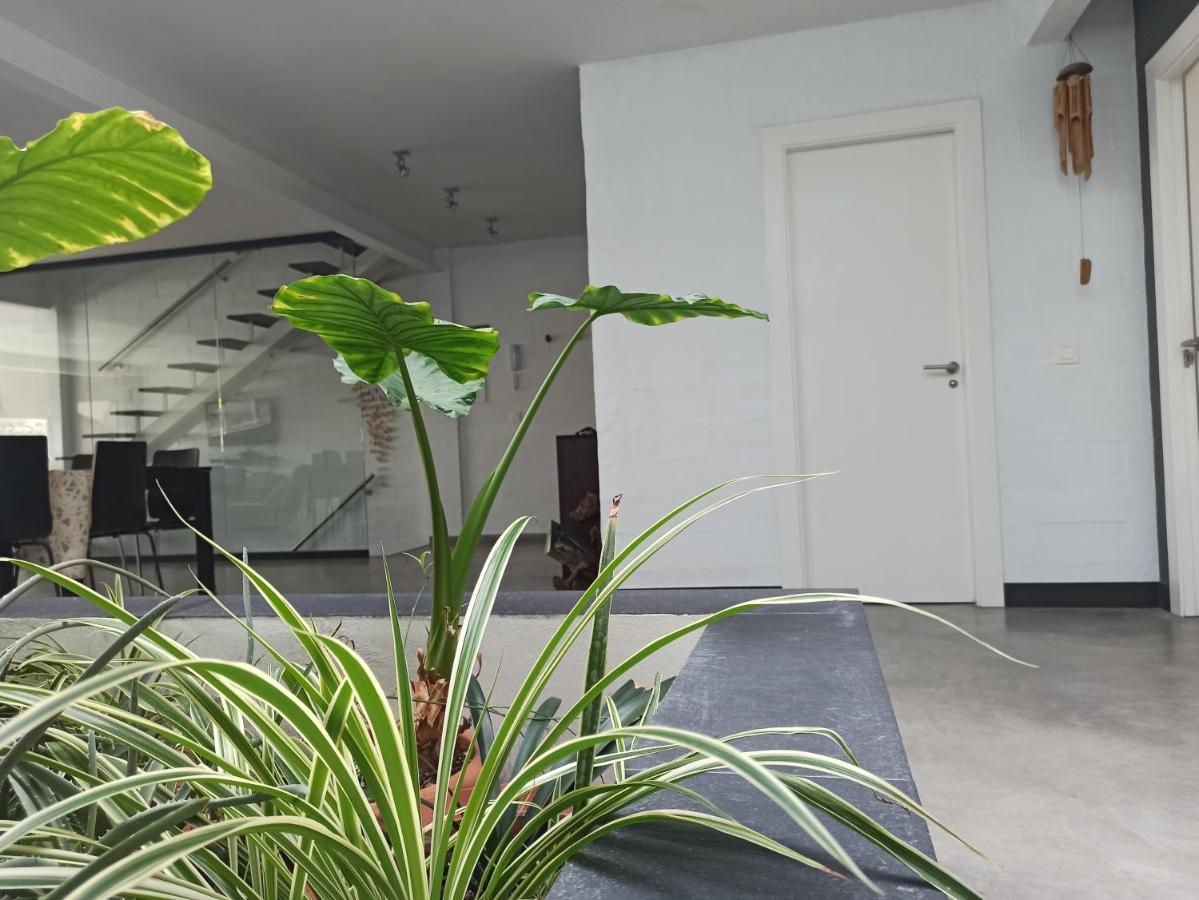 Апартаменты Loft Carrasketa Alfafara Экстерьер фото